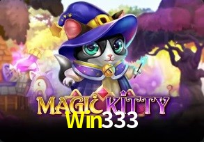  Win333