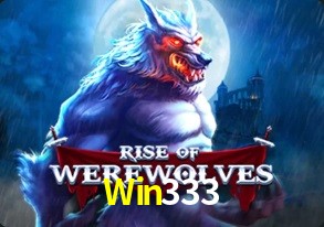  Win333