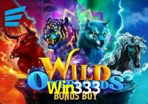  Win333