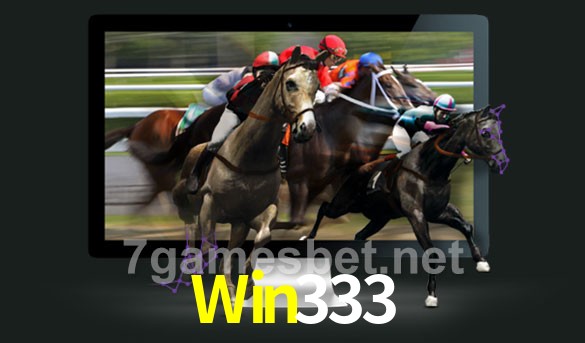  Win333